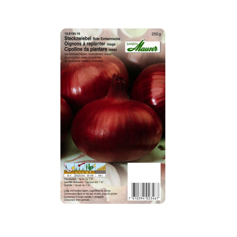 Steckzwiebeln: Steckzwiebeln rote 250gr